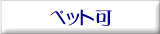 �y�b�g����
