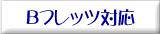 B�t���b�c�Ή�